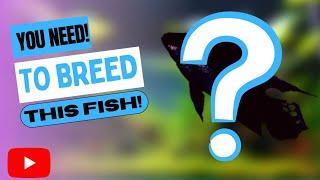 You Need! To Breed! This Fish!