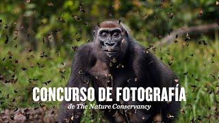 Concurso de Fotografía 2022