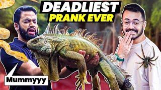 PRANKED HIM WITH IGUANA & SNAKE!  | EXOTIC PETS | BECAUSE WHY NOT