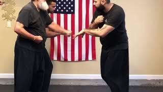 Silat Forearm Strikes/ multiple opponents