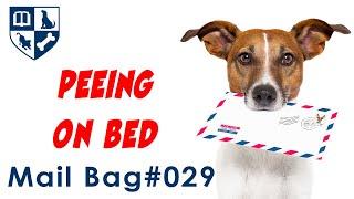 Dunbar Mailbag #29- Peeing on Bed