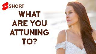 What Are You Attuning To? - Teal Swan