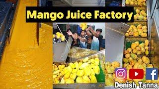 Surat's Biggest Supplier Of Mango Ras  Amazing Food Factory