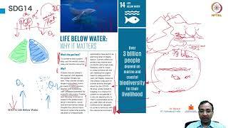 SDG 14: Life Below Water Part 1