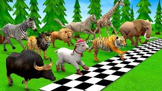 MEGA ANIMAL RACE  Elephant, Zebra, Tiger, Camel, Horse, COW  Planet Zoo Race  Animal Running Race