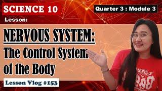 THE NERVOUS SYSTEM | Science 10. Q3. Module 3