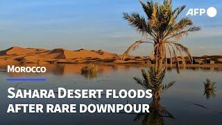 Rare Sahara floods bring Morocco's dried-up south back to life | AFP