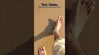 Puri | Jagannath Temple | Sea Beach | Odisha | Jagannath Dhaam | Incredible India