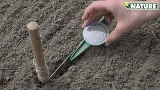 PLANTING SET AND SOWING BOX GB