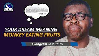 Monkey Eating Pawpaw - Your Dream Meaning by Evangelist Joshua