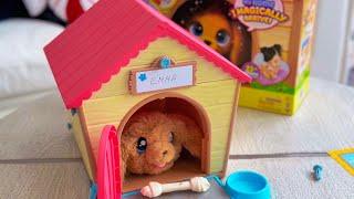 Little Live Pets  Build Your Puppy's Home | Holiday Gift Ideas  #littlelivepets #giftideas