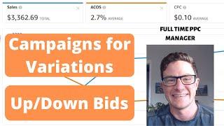 Low Hanging Fruit Auto Campaigns with Dynamic Bidding - Cheap Clicks and Low ACOS Amazon PPC 2020