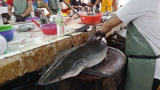 ikan jerung shark  शार्क मछली fish cutting skills in Penang Georgetown Malaysia 