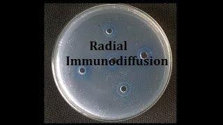 Radial immunodiffusion (Teaching kit)