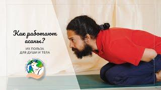 #yoga #асана Что нужно соблюдать, чтобы асана работала не только с телом но и душой?