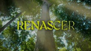 Abertura de Renascer (Remake 2024) a sua nova novela das 21h! • 22/01/24