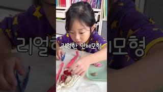 알리에서 구매한 신기한 제품  #내돈내산 #리뷰