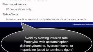 Amphotericin B and Flucytosine