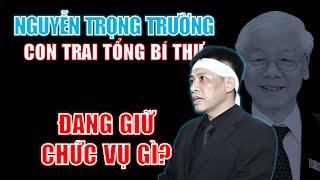 NGUYỄN TRỌNG TRƯỜNG (con trai TBT Nguyễn Phú Trọng) là ai? Đang giữ chức vụ nào?