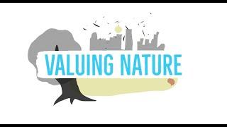 Valuing Nature