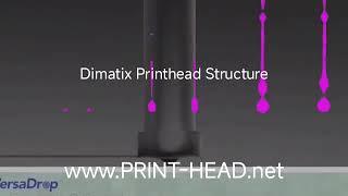 Dimatix StarFire SG1024 Printhead Structure