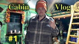 Cabin Vlog #1 Stove Problems, Coyotes, New Power, Picking Up.