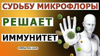 Как самая полезная микрофлора превращается в хроническую инфекцию, если у пациента слабый иммунитет.