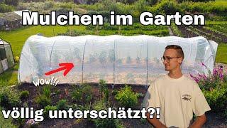 Mulchen im Garten - 4 Vorteile, Tipps & Tricks, Materialien