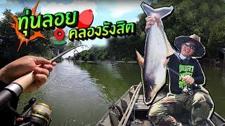 ลงเรือคลองรังสิต! ทุ่นลอยตกปลาสวาย ไม่ง่ายถ้าอ่านฝูงผิด!