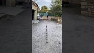 Dams Tir de précision pétanque