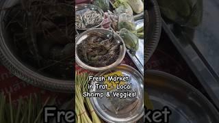 Fresh veggies & river shrimp at Trat’s market! Local flavors straight from farm & river #streetfood