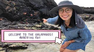 [ENG SUB] Galapagos Islands Vlog Ep1｜Day1 in the Galapagos｜加拉帕戈斯群岛｜邮轮  初体验｜Santa Cruz II Cruise