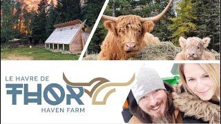 Welcome To Thor Haven Farm