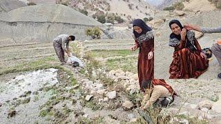 Atabek and Shahin's Adventure in the Farm: Their Efforts to Grow the Farm