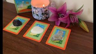 **pick a card** WHAT DOES YOUR PERSON WANT TO SAY TO RIGHT NOW! with my channeled deck