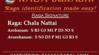 Raga Chala Nattai: Arohanam, Avarohanam and Alapana | Raga Surabhi