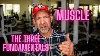 Three Things You Cannot Miss To Grow Muscle