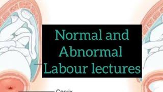 Normal and abnormal labor lectures part 6, Mechanism of labor , Detail explanation #obslectures