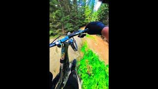 Whistler Side-Hits! #shorts #mtb