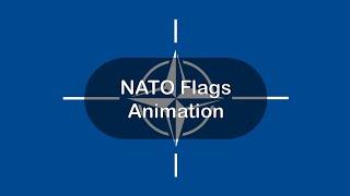 North Atlantic Treaty Organization Flags Animation