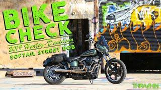 Bike Check - 2019 Softail Street Bob - Thrashin Exhaust Sound Clip!