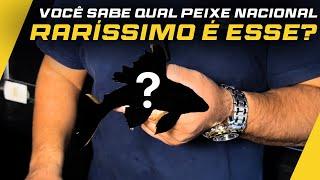 TROUXE UM PEIXE QUE POUCAS PESSOAS SABEM QUE EXISTE!