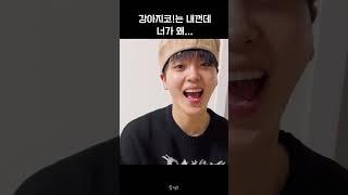 [크래비티/형준] 코 뺏길까봐 다급한 강아지 #shorts