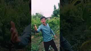  Shahrukhan #jechchan #funny #comedy #baby #shahrukhkhan #video #kino