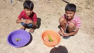 Home Experiment on Photosynthesis (ප්‍රභාසංස්ලේෂණය ගෙදරදීම පරික්ෂා කරමු) #stem #kidsactivities