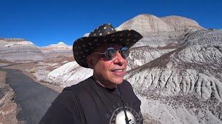 The Petrified Forest of Arizona