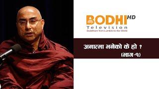 धम्म प्रवचन | अनात्मा भनेकाे के हाे ? | प्रज्ञाश्री महास्थविर | BODHI TELEVISION