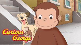 George Meets a Fire dog!   Full Episodes | Curious George