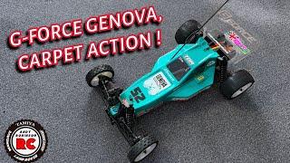 E229: G-Force Genova 2WD Buggy Raw Race Footage @ BAFRCCC