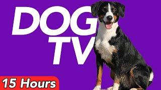 DOG TV - 15 Hours Virtual Adventure Video for Dogs - Petflix Video 